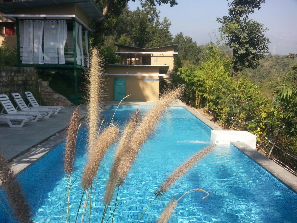 The Sal Woods Forest Retreat & Spa Dehradun Exterior foto